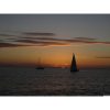 permis cotier le havre albatre plaisance 10