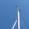Etap 30i occasion Albatre Plaisance Normandie tête de mât