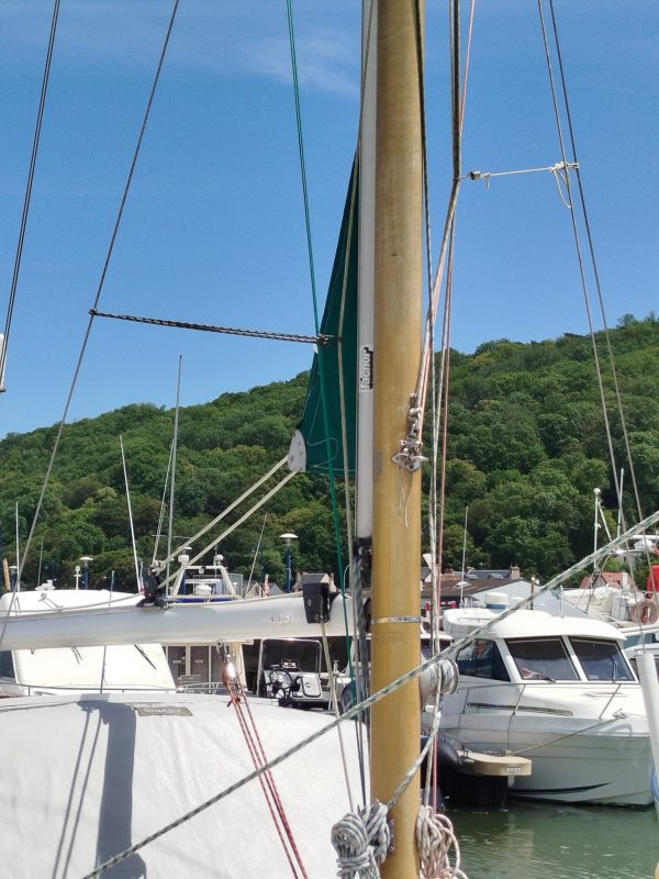 IMG 20240627 141050