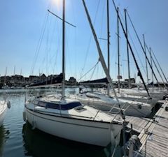 IMG 73951 (1)