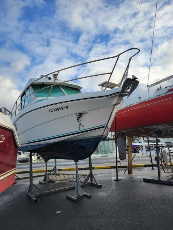 Merry Fisher 800 vedette occasion Albatre Plaisance Normandie 2