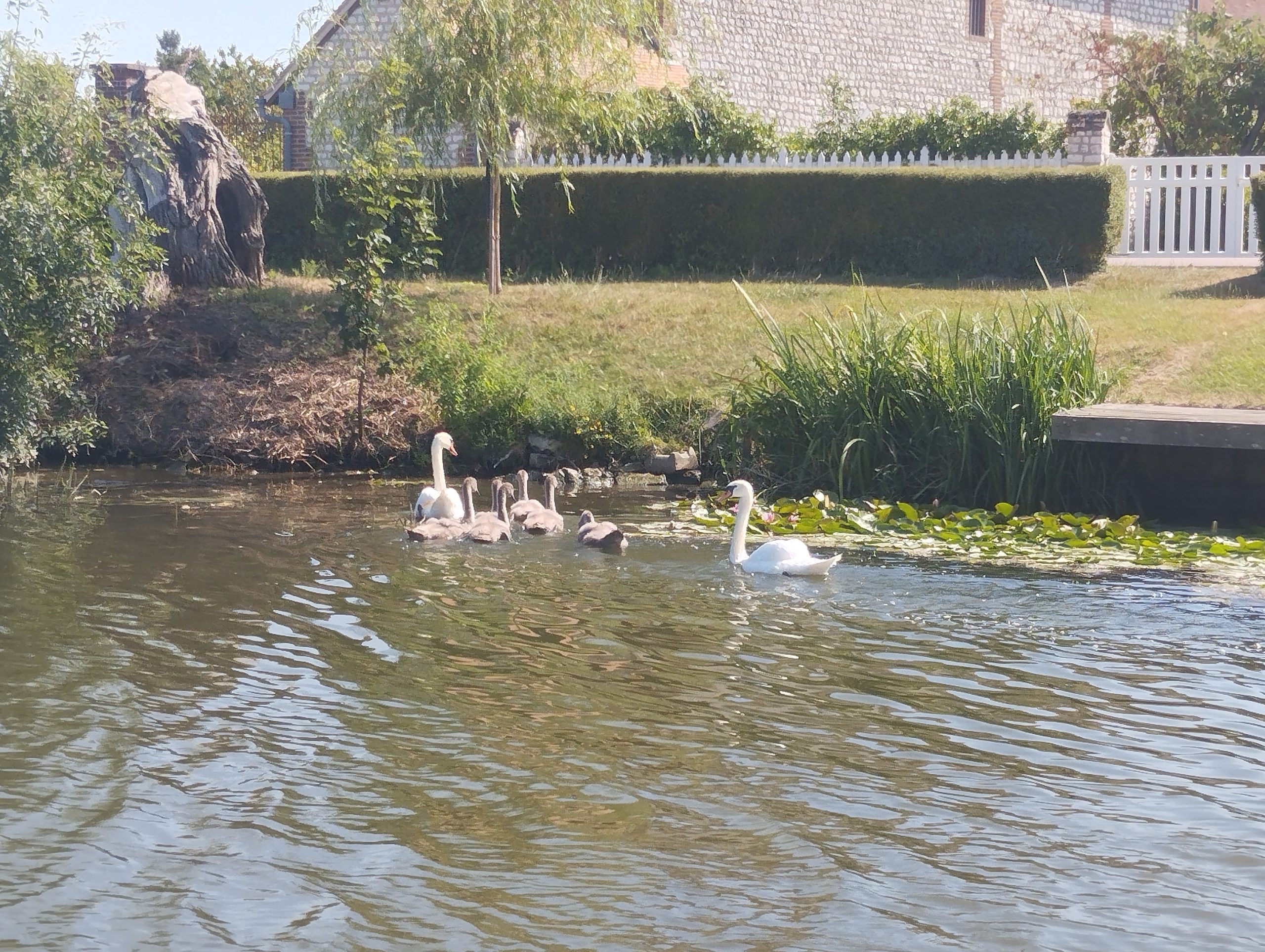 Albatre Plaisance Permis bateau à Poses Seine 4